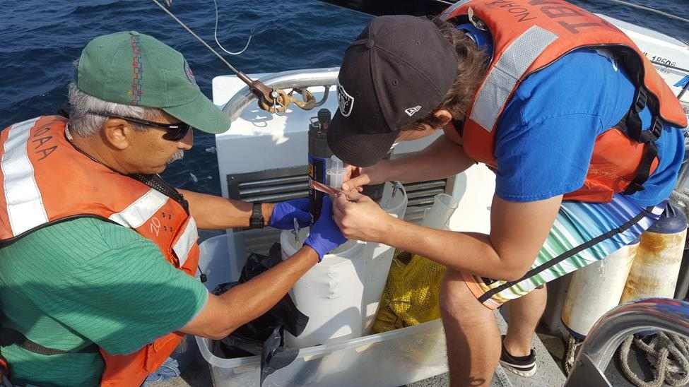 AWRIs Dr. Bopi Biddanda (left) working on board NOAAs R/V Storm with AWRI technician Anthony Weinke (right) readying a benthic metabolic chamber for deployment on the lake floor over microbial mats  23 meters below!